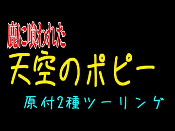 【ななまる日記】【超悲報】秩父で天空のポピーを見に行ったら鹿に喰われてた。
