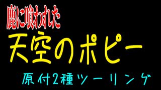 【ななまる日記】【超悲報】秩父で天空のポピーを見に行ったら鹿に喰われてた。