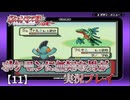 ポケモンに無知な男が【ポケットモンスタールビー】実況プレイ【11】