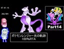 ポケモンレンジャー光の軌跡 100％RTA（過去なし） 10時間42分45秒 Part14/21