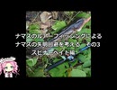 ナマズに学ぶルアーフィッシングの基本　part6　ナマズのルアーフィッシングによる　ナマズの失明回避　その3　スピナベ編【VOICEROIDフィッシング】四国めたんと中国うさぎ