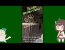 【 #フクロモモンガ 】怪我した子が食事を摂れなくなったので精神的ケアを！【 #おはモモンガ 】