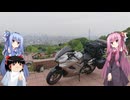 琴葉姉妹と行く釣行記録（車載編part32 2/8）