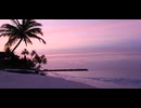 The purple sky is fantastic