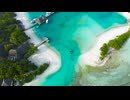 Transparent emerald green sea