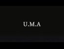 U.M.A / Nokiq Ra66it