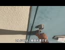 【美少女Vlog】苺のケーキを作る