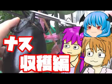 【なす】ぼくも料理動画が作りたかった 嫁に食わすな編