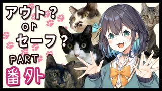 宮舞モカの浮気現場　 (保護猫カフェに遊びに行くよ)【Part 番外】