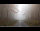 惑い Bewilderment 【BGM】