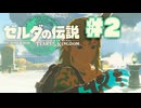 【ぽつぽつ実況 #2】右手【ティアーズオブザキングダム】