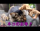 KATANAで行く！福井ロングツーリング～その２～