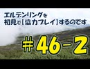 #46-2 エルデンリングを 初見で【協力プレイ】するのです