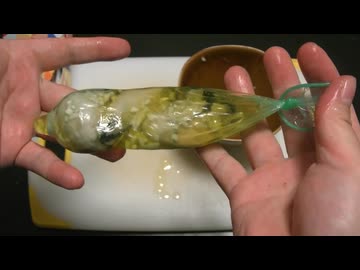 コンドームで牡蠣のオイル煮を作ってみた