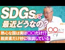 SDGsの成果と現状はどうなの？熱心に実行しているのは◯◯だけだった 杉山大志【赤坂ニュース163】参政党※未公開シーン