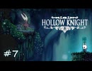 ムダにビビりながらゆく『ホロウナイト』part7