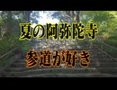防府市　夏の阿弥陀寺　参道を歩く！