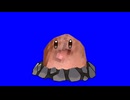 ディグダ（淫夢）BB