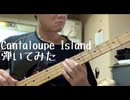 Cantaloupe Islandベースで弾いてみました