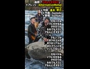 【Ai作曲】「アわんとぞオモう」【AlternativeMetalVer2】【作詞：高木甲介】【作曲と歌唱：SunoAi】