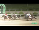 2024年7月27日佐賀競馬10R ＣＯＭＥＨＯＭＥ九州 里帰りＪＣ第２戦 ホームタウンカップ(C1-12組) クンバカルナ