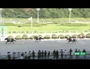 2024年7月28日佐賀競馬5R ＦＵＪＩ協賛 ＦＵＪＩオンラインストアＯＰＥＮ記念レース(3歳-10組) ヴィオルナ