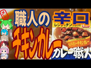 職人のチキンカレー-江崎グリコカレー職人スパイシーチキンカレー辛口[世界のグルメを食べ尽くせ！]