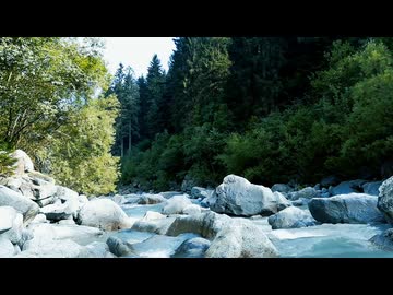 【癒し動画】川のせせらぎの音