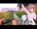 ナマズはカイオーガで釣るもの。【ポケモンフィッシング】さとうささらとNo.7の【鯰人ささらちゃん】＃2