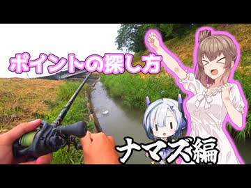 ナマズはカイオーガで釣るもの。【ポケモンフィッシング】さとうささらとNo.7の【鯰人ささらちゃん】＃2