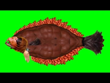 ヒラメ拓也