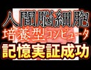 20231213_【バイオCPU誕生】培養したヒトの脳組織を使ってコンピューターを構築する実験に成功！日本語の音声認識にも対応可能！