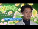田所グミ