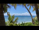 Tropical Resort Scenery
