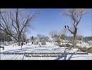 Costa Tree Service