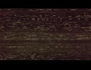 不完全な処遇 歌ってみた/しとらすみんと