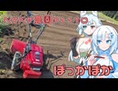 2024年9月6日　農作業日誌P1110　やっとのことニンニクの植え付けやエシャレットの植え付け開始です