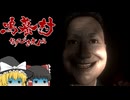 【鳴蟇村】霊夢と魔理沙の村さんぽ #5【ゆっくり実況】