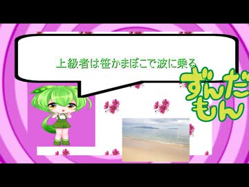 サーファーを解説！(嘘)