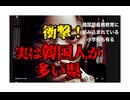 24・9・7　だから大阪のおばちゃんは　五月蠅いのか？