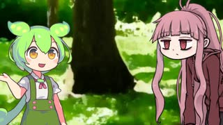 あかずん（夏）。