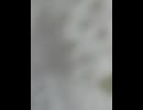 74737133074__C9ED76C9-1A1F-4126-919C-BDCB3E36E0E0