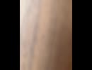 74737218009__2AE03301-1C81-4DAA-BCFF-10D77E945424