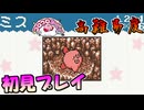 操作性が高難易度なコロコロカービィを初見実況プレイ #02
