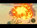 【ティアキン】ゲルド砂漠のモルドラジーク　ゼルダの伝説ティアーズオブザキングダム #ゼルダの伝説 #ティアキン #zelda