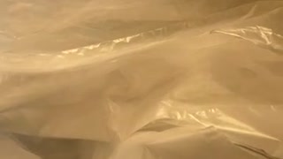 74737872825__5B083B18-8582-4566-8B03-90470D3F0FD3
