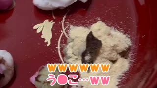 【作ってみた】まるで本物!?な知育菓子【おだんご屋さん】