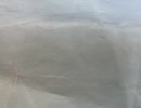 74738538301__2DD0614F-667F-4B0F-961A-CF49D3032681