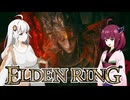 【エルデンDLC】きりきずは、影の地で。part11