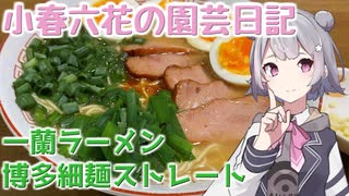 【料理】小春六花の園芸日記#4～一蘭ラーメン博多細麺ストレートの自家野菜のせ～【Cevio AI実況】